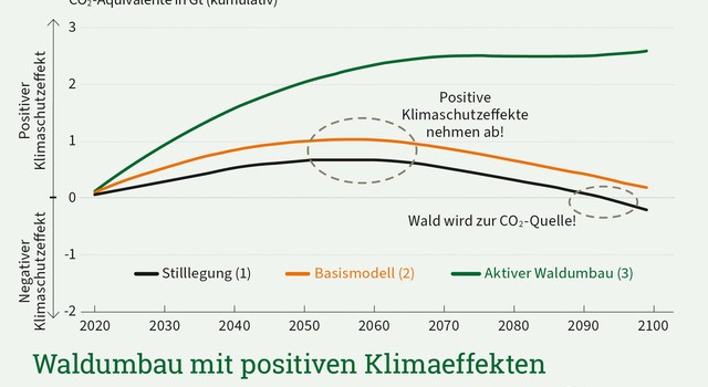 https://staging-media.depi.de/filer_public_thumbnails/filer_public/12/a7/12a778fe-f58f-46bd-87e0-17f05548a2c1/depi_waldumbau-positiveklimaeffekte.jpg__640x350_q90_crop-smart_subject_location-945%2C657_subsampling-2.jpg