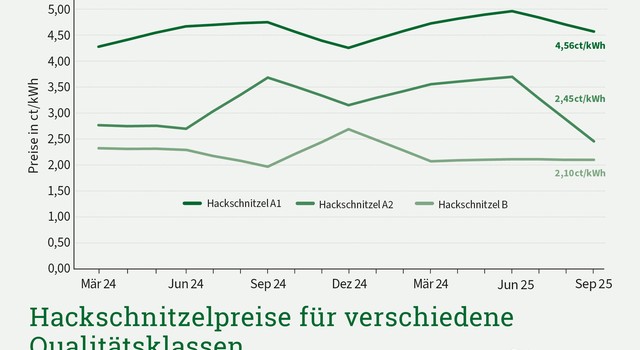 https://staging-media.depi.de/filer_public_thumbnails/filer_public/12/b2/12b2da96-65bb-4e5f-8349-ee7666ccdf1a/depi_preisvergleich_hackschnitzelqualitaetsklassen_3q-2025.jpg__640x350_q90_crop-smart_subject_location-945%2C657_subsampling-2.jpg