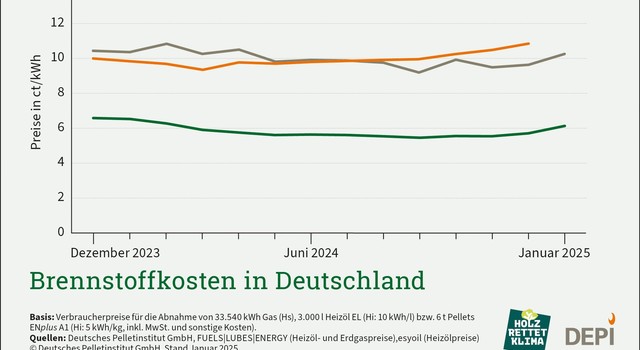 https://staging-media.depi.de/filer_public_thumbnails/filer_public/6d/c6/6dc6a70a-cbb8-4575-b6e6-4b6a82257235/tmpbrennstoffkosten-in-deutschland-januar-2025.jpg__640x350_q90_crop-smart_subsampling-2.jpg