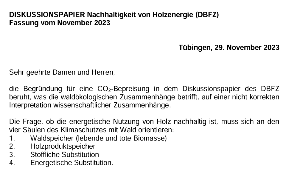 Das Bild zeigt einen Ausschnitt von einem Diskussionspapier über die Nachhaltigkeit von Holzenergie vom 29. November 2023.