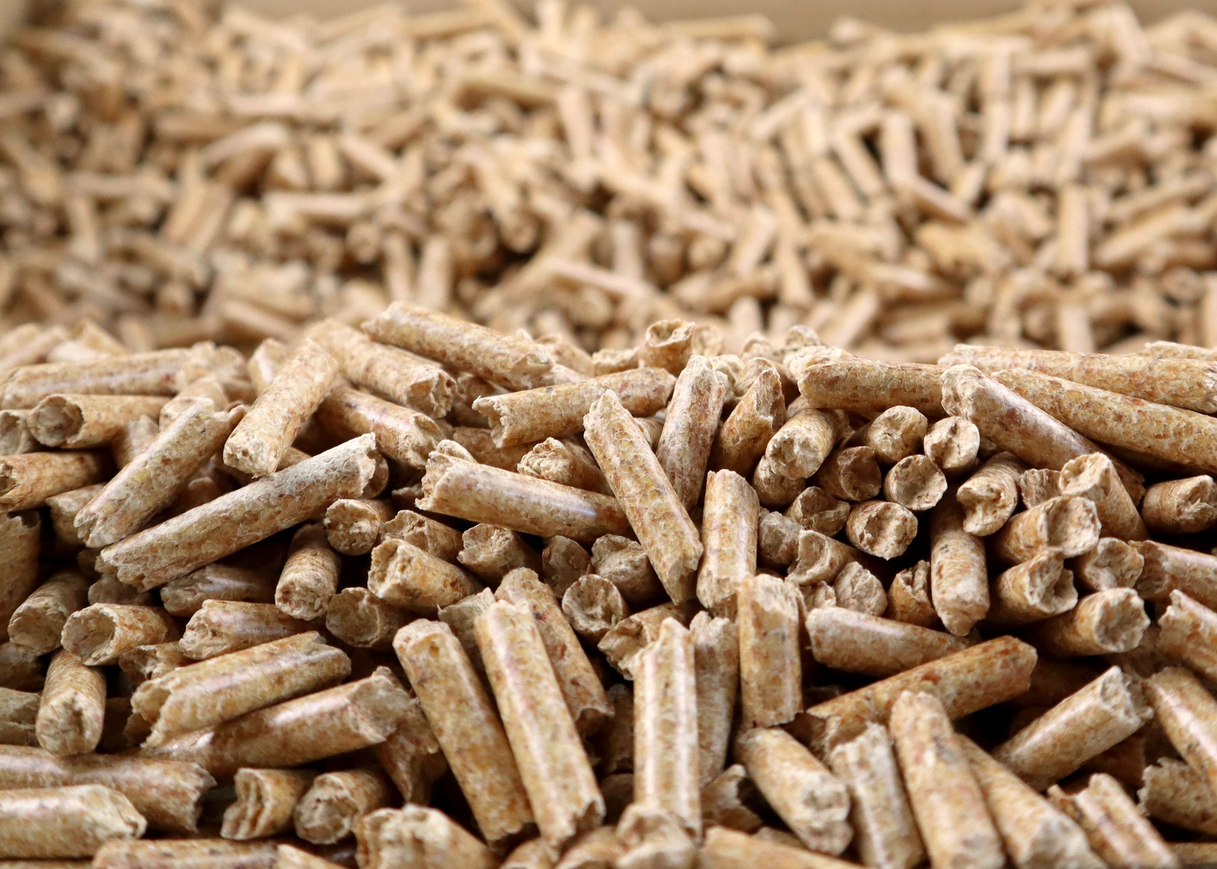 Auf dem Bild sind aufgestapelt liegende Pellets zu sehen. Im Hintergrund ist das Bild unscharf.