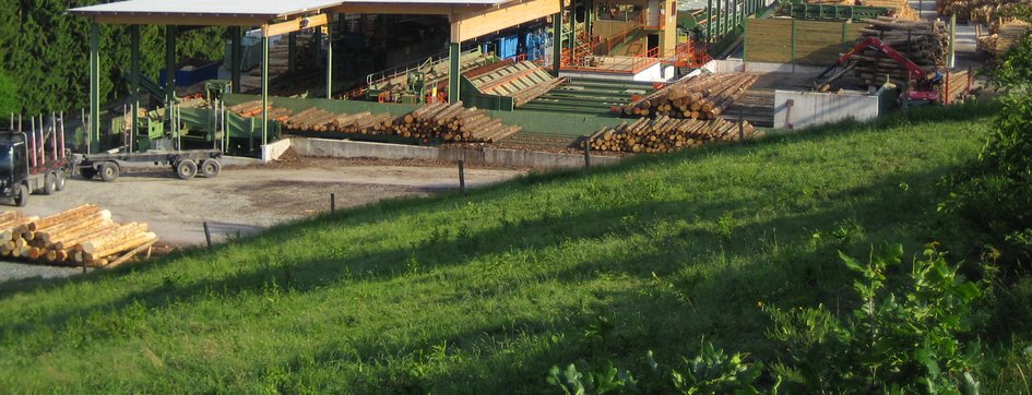 In der Mitte ist ein Pelletwerk umgeben von Hügeln und Häusern zu sehen. Oben ist ein blauer Himmel.