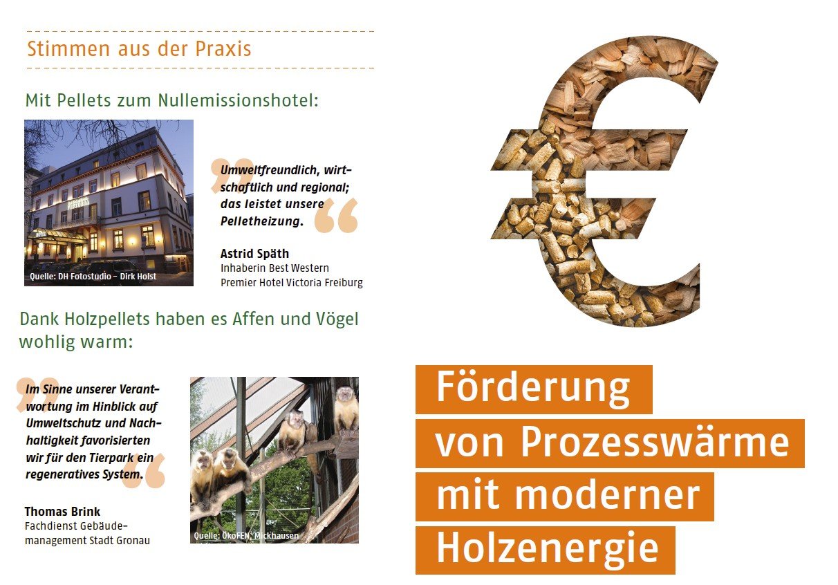 Ausschnitt des Flyers zur Prozesswärmeförderung des DEPI mit Großem Euro-Zeichen, aus Pellets
