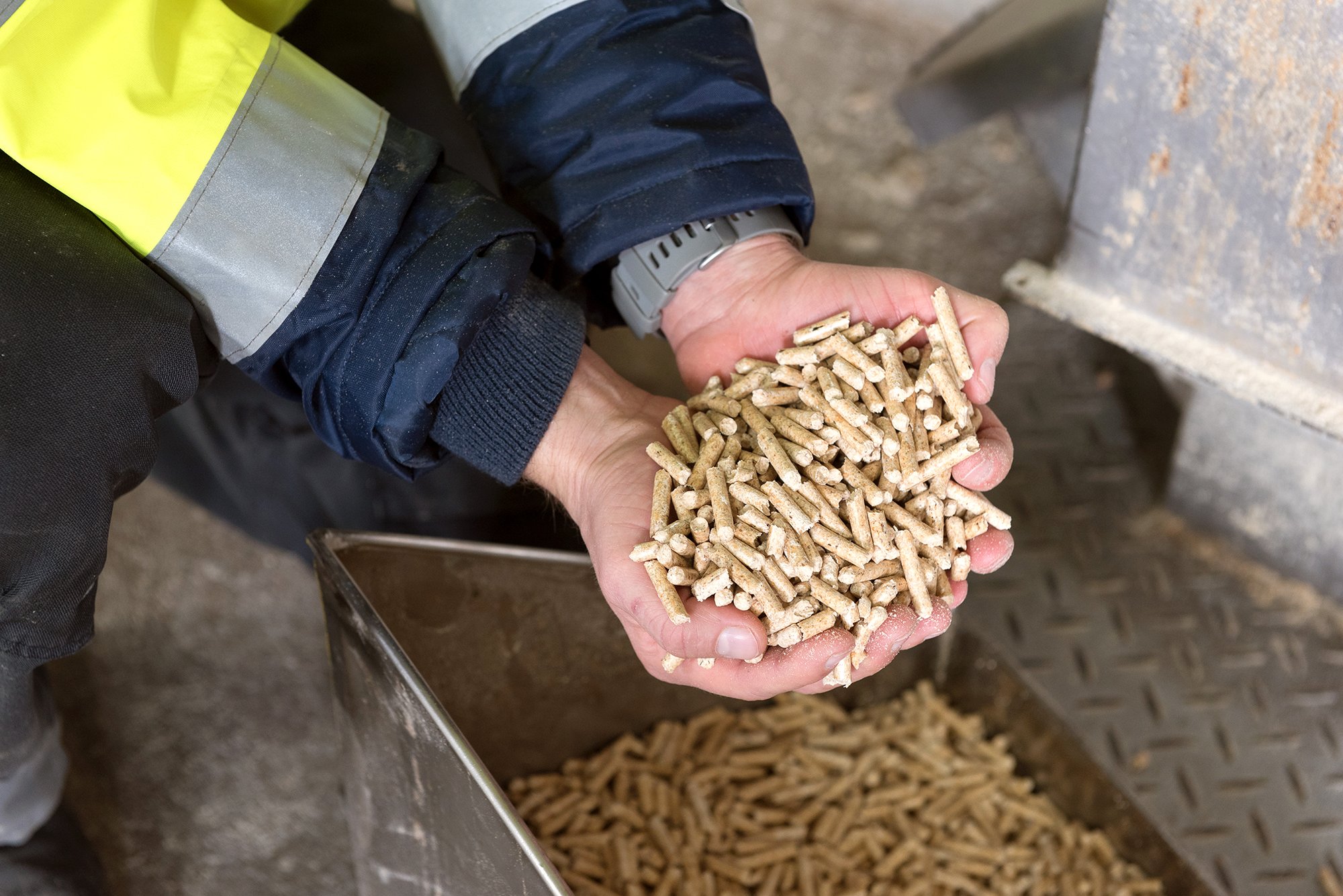 Auf dem Bild hält eine männliche Person Pellets in den Händen, zu sehen sind nur die Unterarme und Hände.