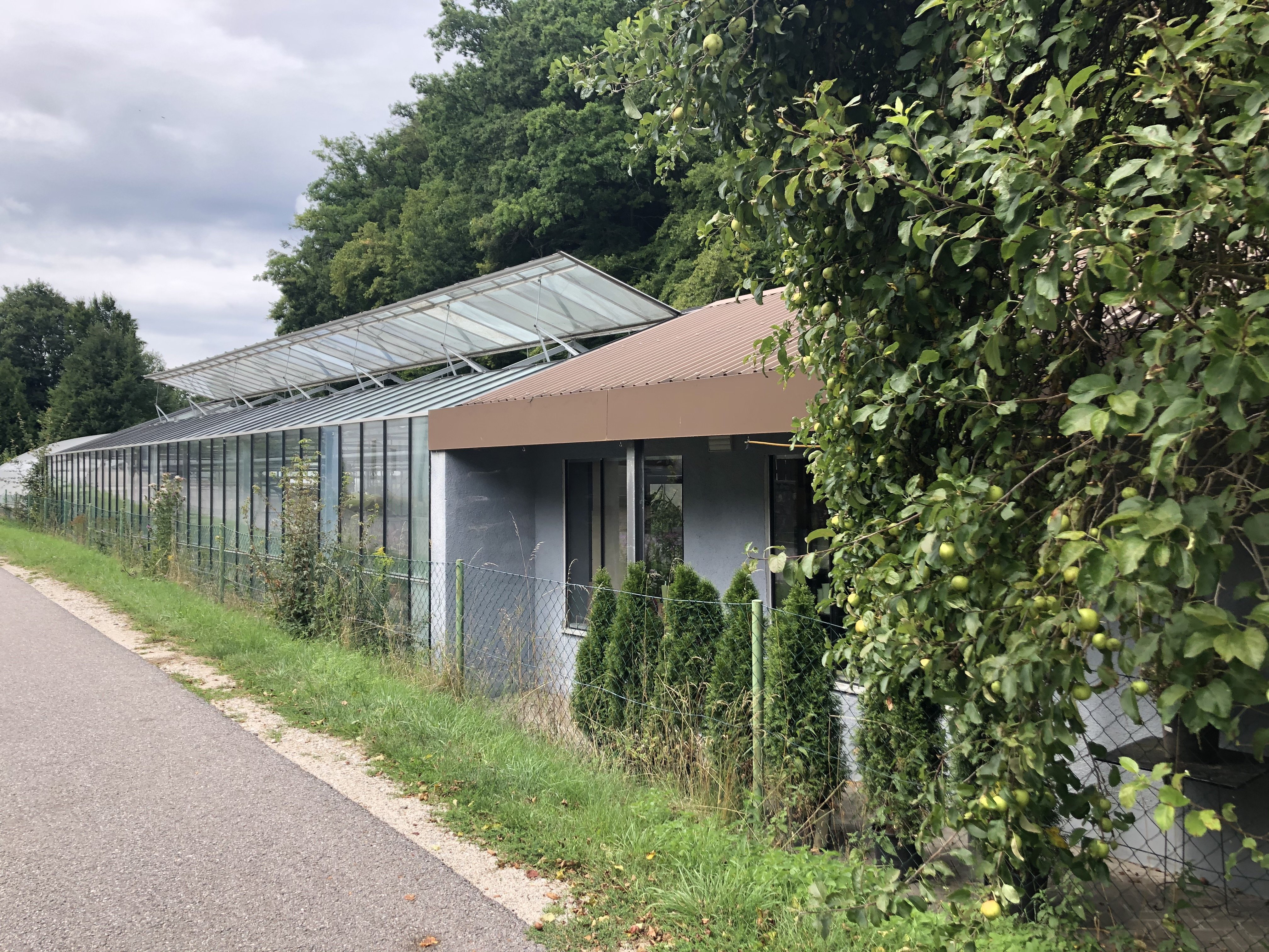 Das Bild zeigt ein Gewächshaus von außen, daneben sind Bäume. Vor dem Haus ist ein Weg oder eine Straße im Anschnitt zu sehen. Am Himmel sind graue Wolken.