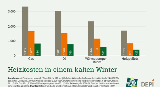 https://staging-media.depi.de/filer_public_thumbnails/filer_public/fc/e7/fce7b355-d7d7-4bc0-a3c0-5437d1a6b45f/depi_heizkosten_szenario_kalterwinter_02.jpg__640x350_q90_crop-smart_subsampling-2.jpg