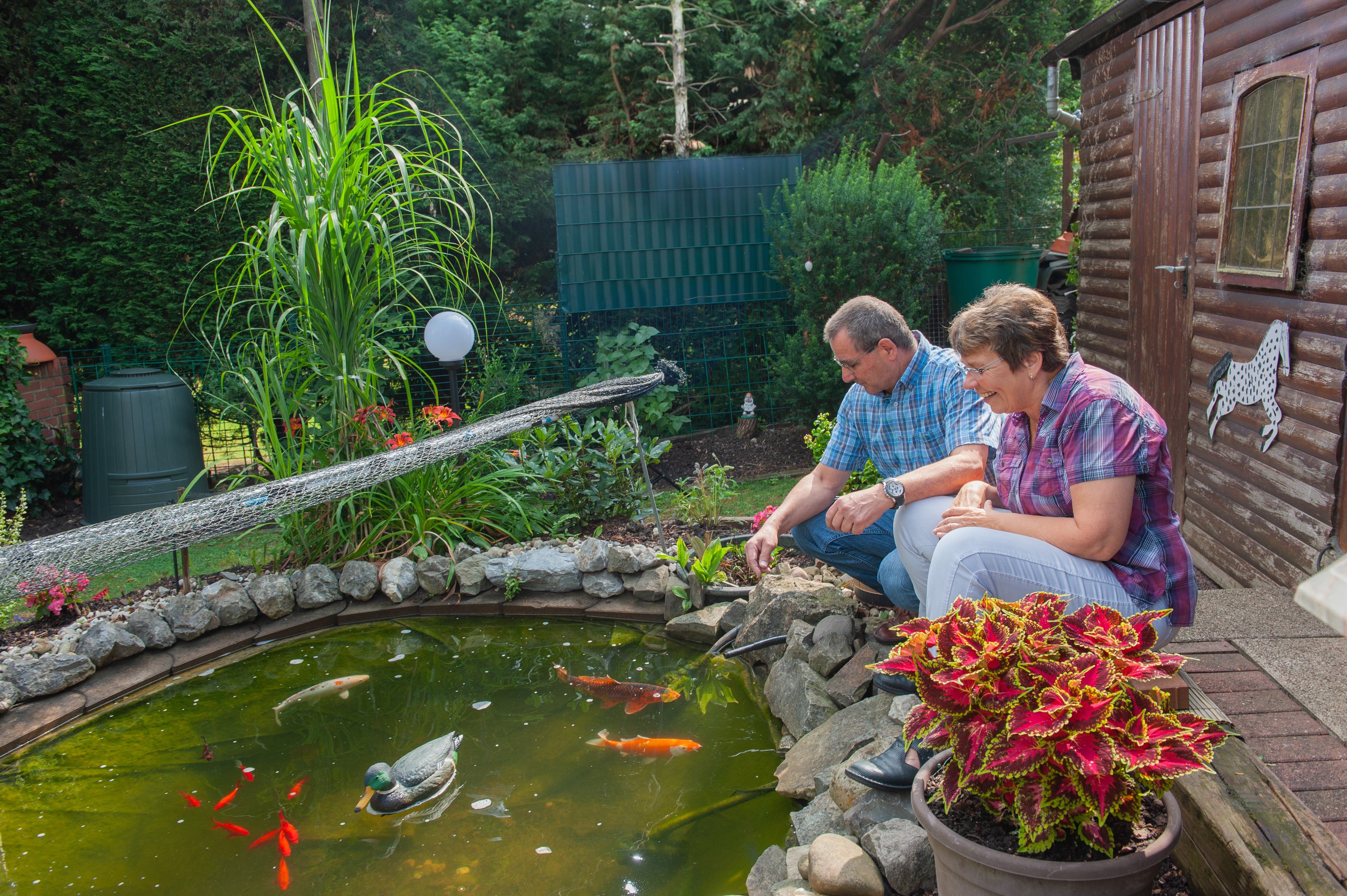 Auf dem Bild ist ein Teich mit Fischen zu sehen. Daneben sind zwei Personen. Im Hintergrund ist ein braunes Gartenhaus und eine grüne Hecke zu sehen.