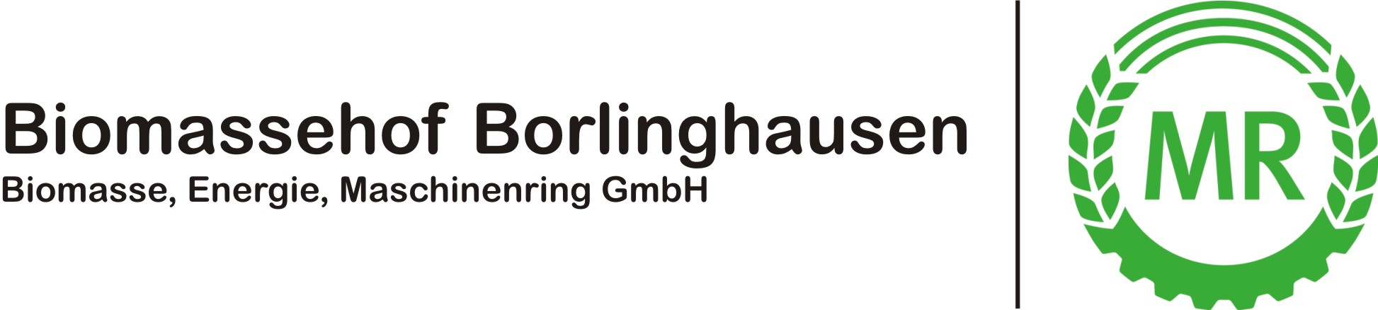 BEM GmbH Biomassehof Borlinghausen Logo
