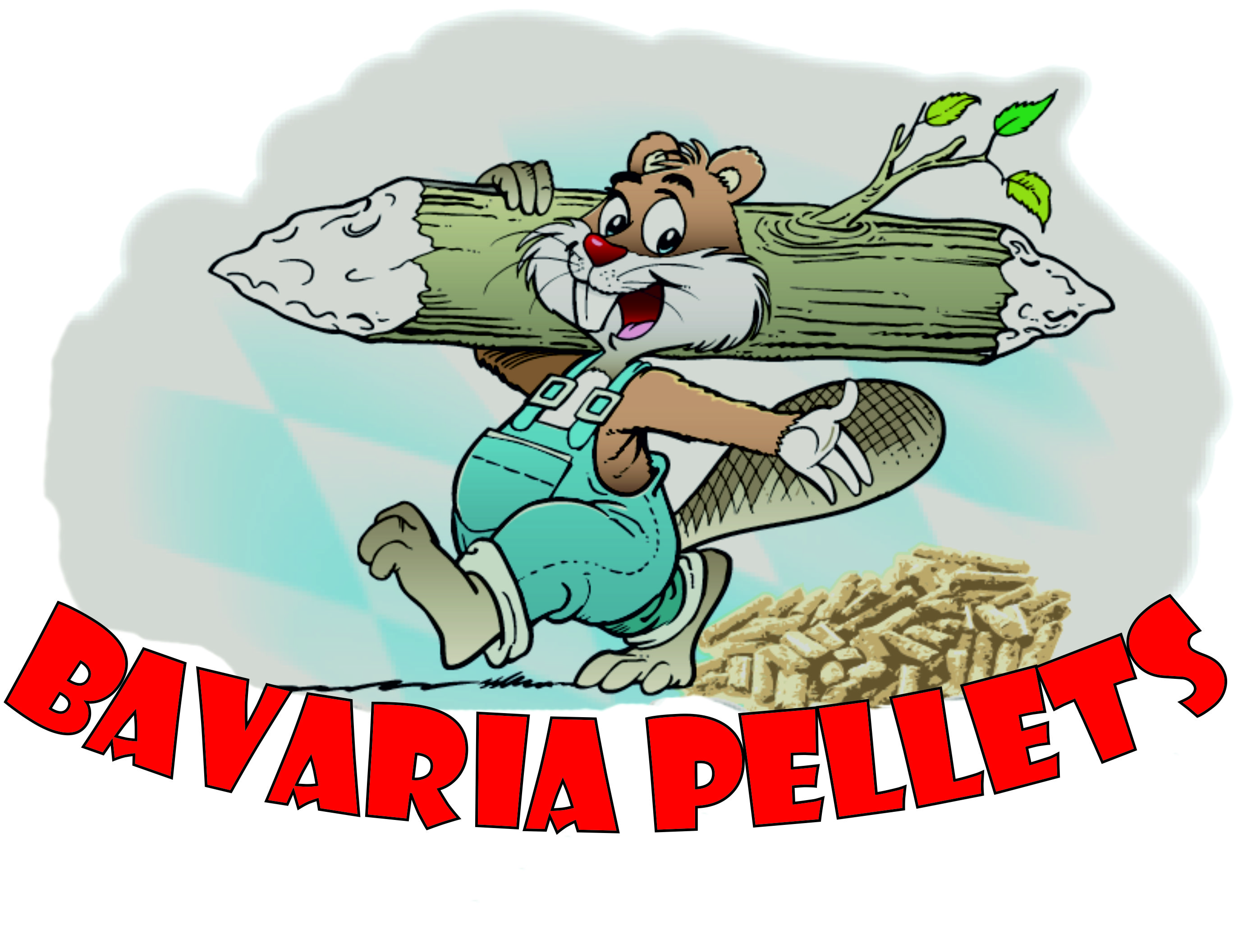 BAHO Holzhandel- und Transportvermittlungs GmbH Logo