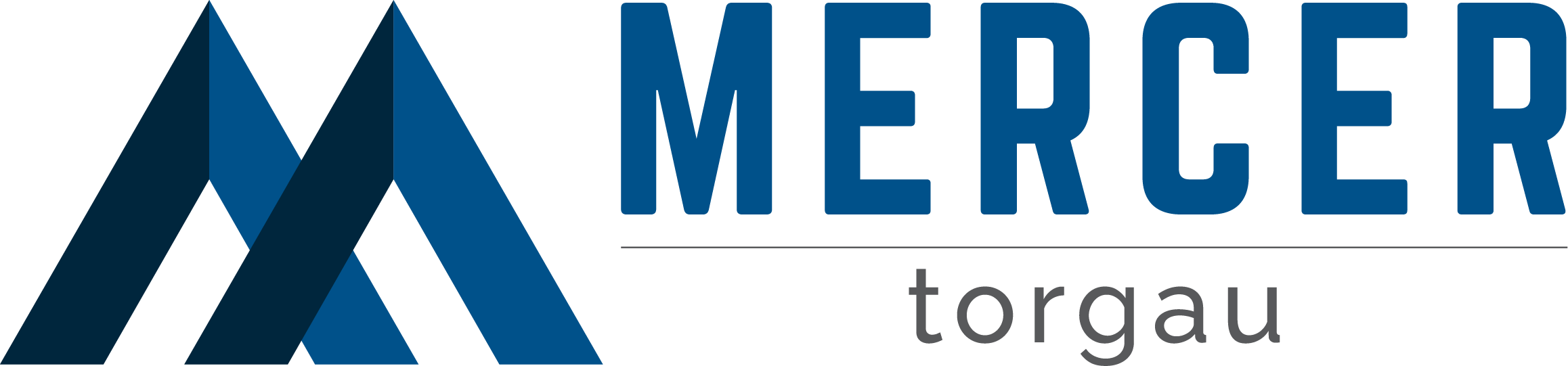 Mercer Torgau GmbH & Co. KG Logo